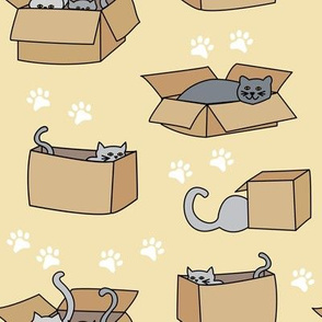Cats in Cardboard Boxes Medium Yellow
