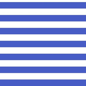 Horizontal Awning Stripe Pattern - Dark Cornflower Blue and White