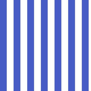 Vertical Awning Stripe Pattern - Dark Cornflower Blue and White