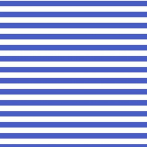 Horizontal Bengal Stripe Pattern - Dark Cornflower Blue and White