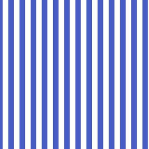 Vertical Bengal Stripe Pattern - Dark Cornflower Blue and White