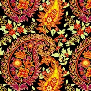 Paisley Magic , Medium