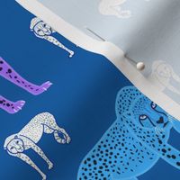 Rainbow Cheetahs! - ocean blue, medium 