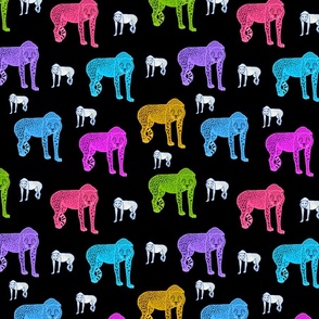 Rainbow Cheetahs! - black, medium 