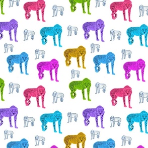 Rainbow Cheetahs! - white, medium 