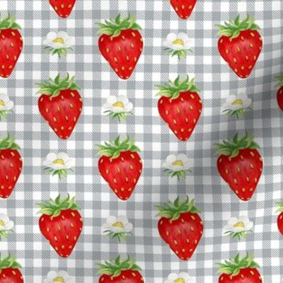 Smaller Scale Strawberries on Grey and White Gingham