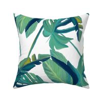 Banana leaf,monstera,tropical leaf pattern 