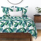 Banana leaf,monstera,tropical leaf pattern 