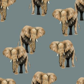 Elephants on Greyish Blue - Medium