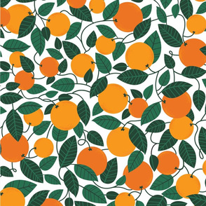 oranges white