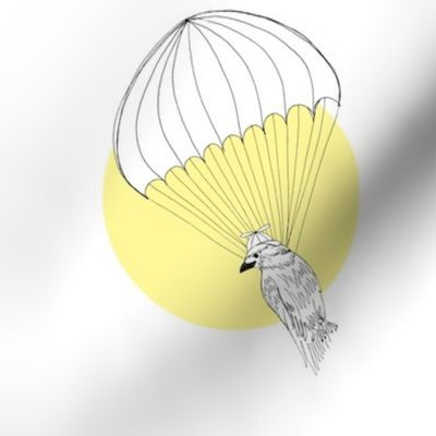 parachute