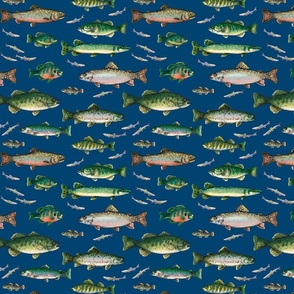 Muskie Fish Fabric, Wallpaper and Home Decor