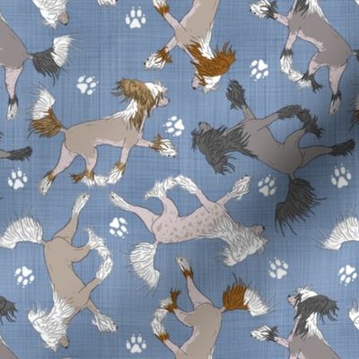 Trotting Chinese Crested hairless and paw prints - faux denim