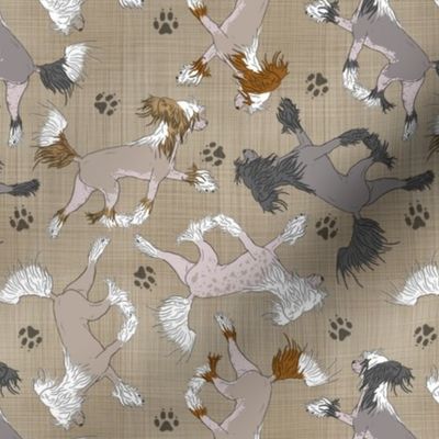 Trotting Chinese Crested hairless and paw prints - faux linen