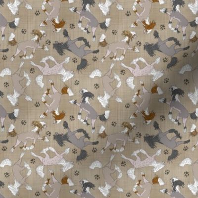 Tiny Trotting Chinese Crested hairless and paw prints - faux linen
