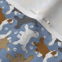 Tiny Trotting Chinese Crested powder puff and paw prints - faux denim