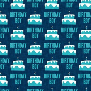 (small scale) Birthday Boy - Birthday Cake - teal on dark blue -  C21