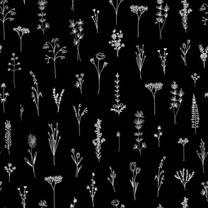 New Wildflowers Lineart Black and White