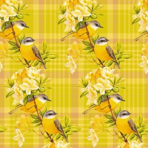 Birds On Plaids , Medium