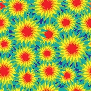 Rainbow Daisies