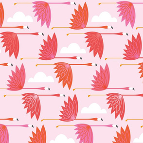 Migration Weather - Flamingo Season