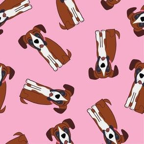 Boxer Dogs on Pink