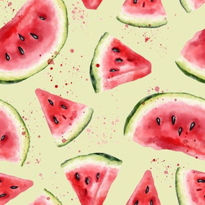 Summer Watermelon Slices