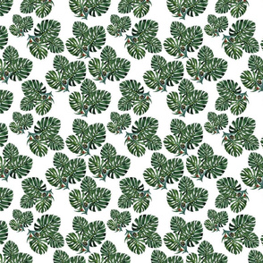 Pattern with snails on monstera