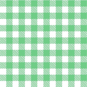 Bigger Scale Gingham Checker - Green and White