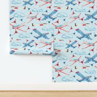 Large Scale Soaring Airplanes on Light Blue