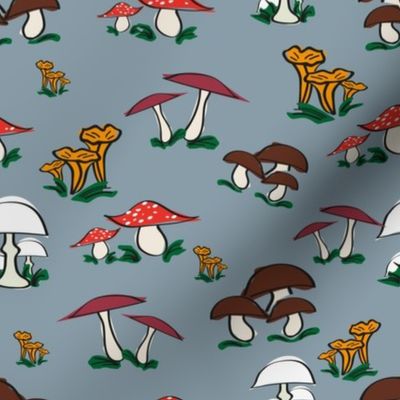 Mixed mushrooms on gray