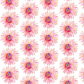 Pink Sunflowers