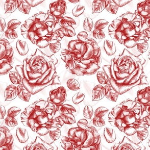 Red roses - pencil hand drawn romantic valentine floral