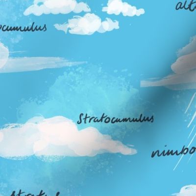 Curious Cloud Types