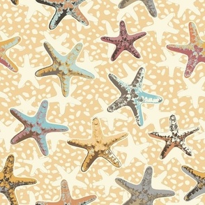 Starfish in the Sand, medium