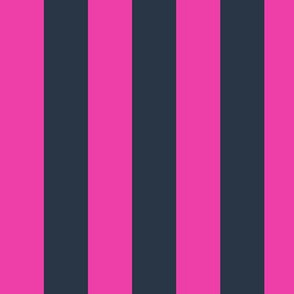 Large Vertical Awning Stripe Pattern - Flirty Magenta and Medium Charcoal