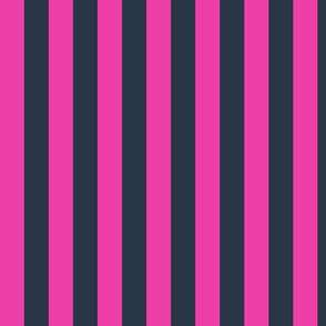 Vertical Awning Stripe Pattern - Flirty Magenta and Medium Charcoal
