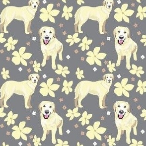 Golden Retriever Dog and yellow flowers