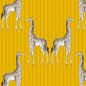 giraffe damask #dba900