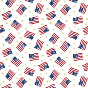 American Flag - USA -  stars & flags - white  - C21