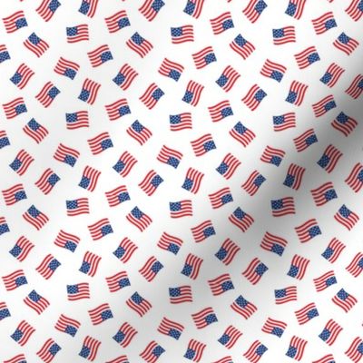 (micro scale) American Flag - USA -  flags - white  - C21