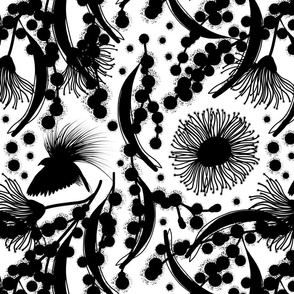 Wattle, Blossom Paradise - black on white, medium/large 