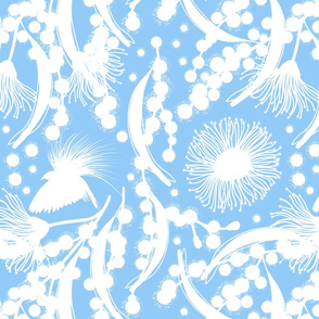 Wattle, Blossom Paradise - white on sky blue, medium/large 