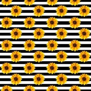 Tiny Sunflowers on Black and White Stripes