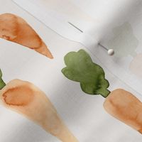 Watercolor Carrots / Spring Wood