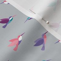 Cute tropical hummingbirds adorable birds print blue purple pink on gray