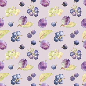 Grapes and plums on lilac