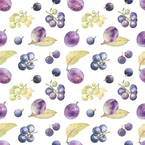 Grapes and plums on white