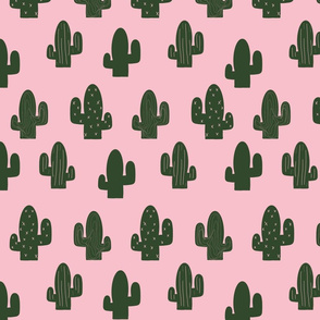 Pink Cactus_garden 3