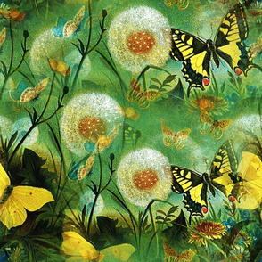BUTTERFLIES IN THE FOREST